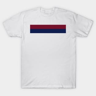 Newcastle 1996 West End Maroon Navy Hoops T-Shirt